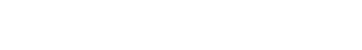 light logo